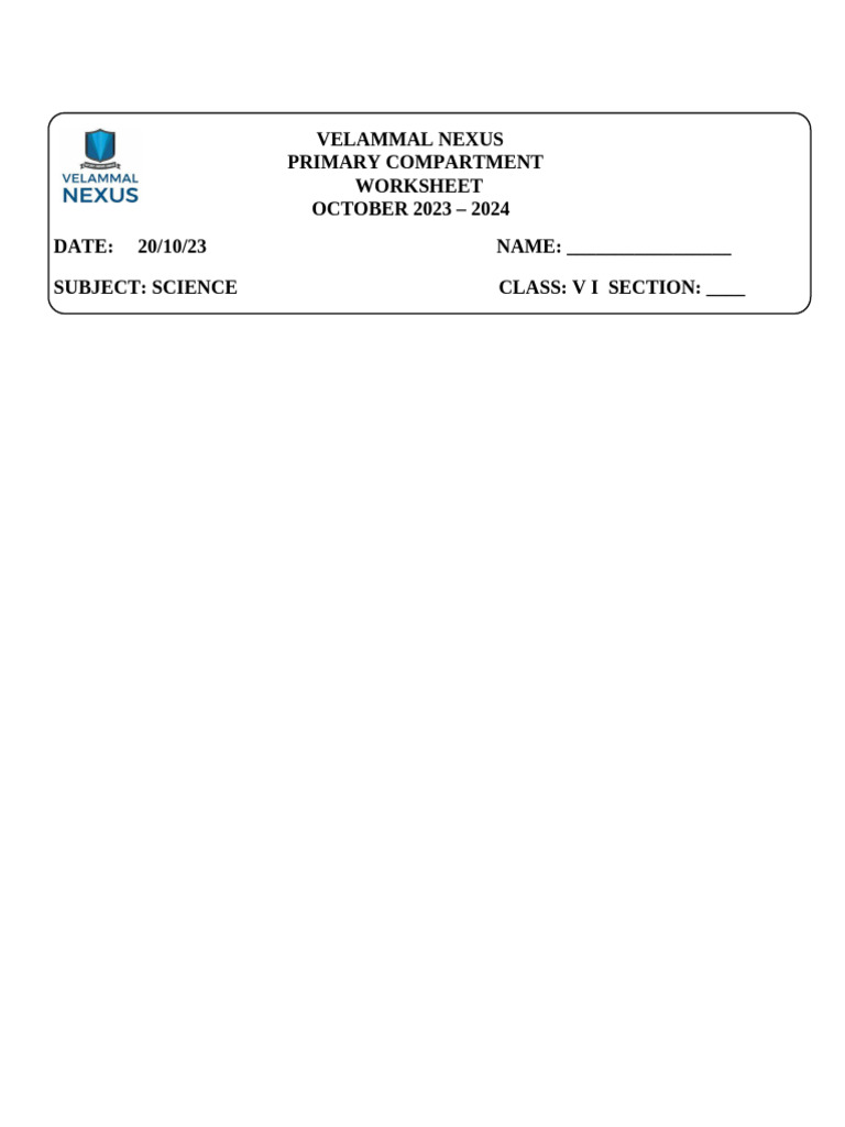 Class6 Science Worksheet | PDF