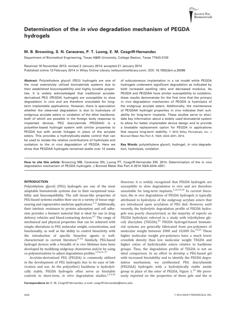 In Vivo Degradation of PEGDA Hydrogels | PDF | Polyethylene Glycol | Gel