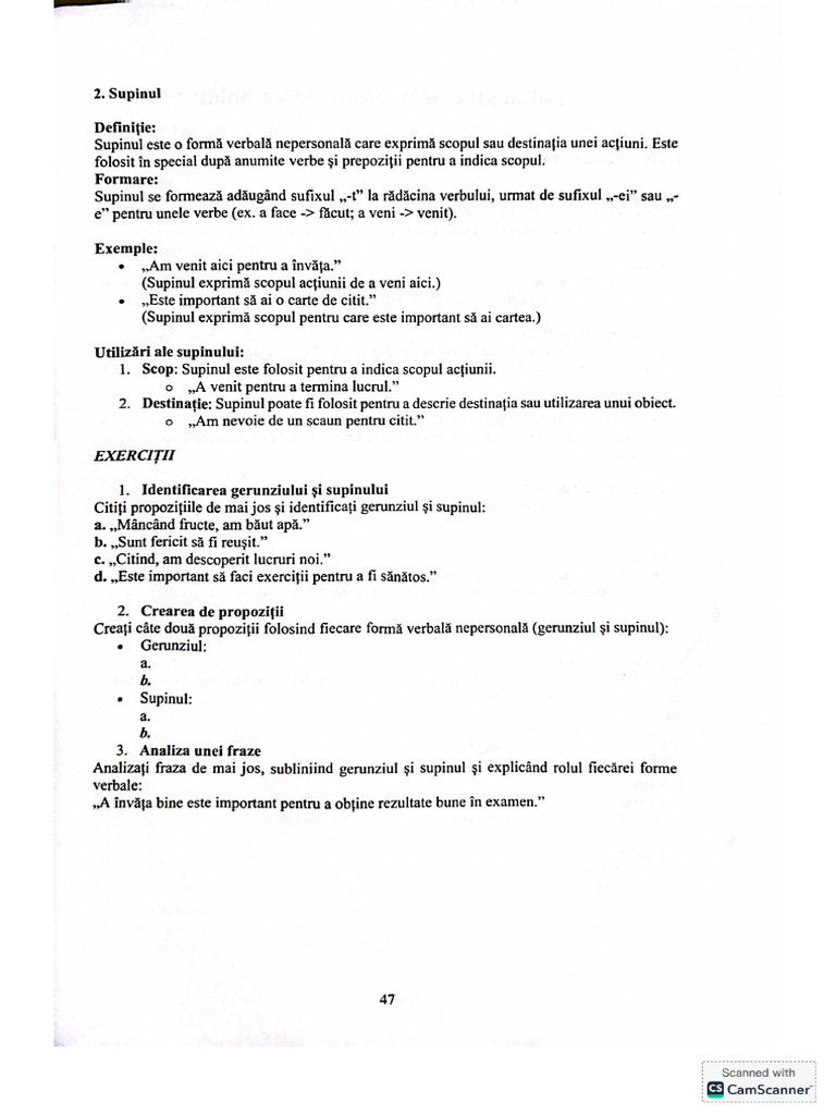 Supinul | PDF