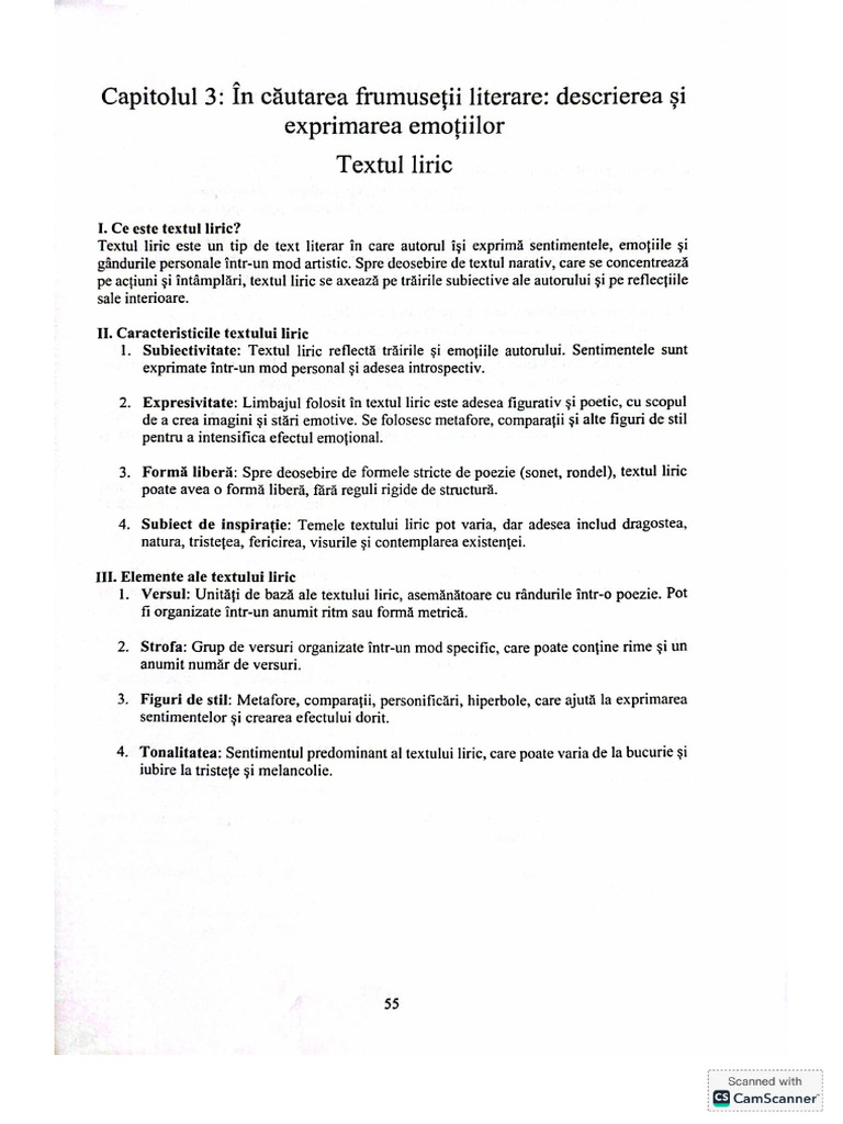 Textul Liric | PDF