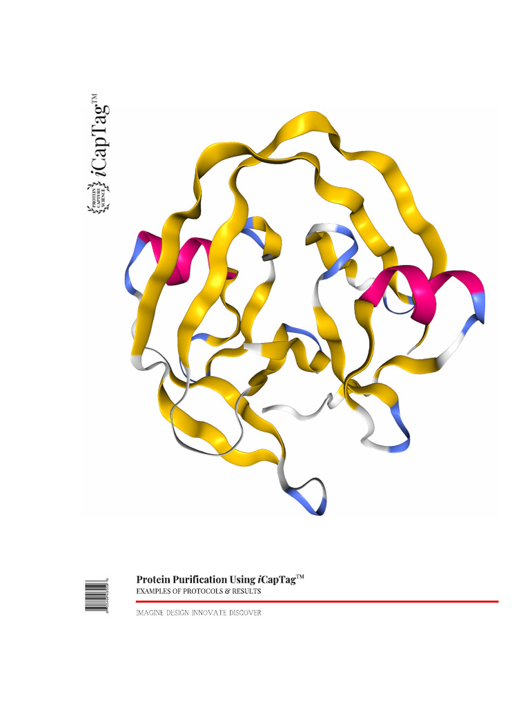 iCapTagTM Protein Purification Guide | PDF | Protein Purification ...