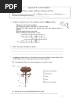 Ficha de avaliação de Ciências da Natureza 5º Ano - Plantas