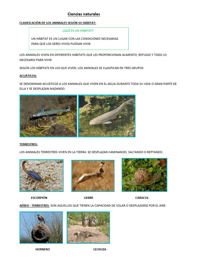 Clasificación de Hábitats Animales | PDF | Habitat | Ala