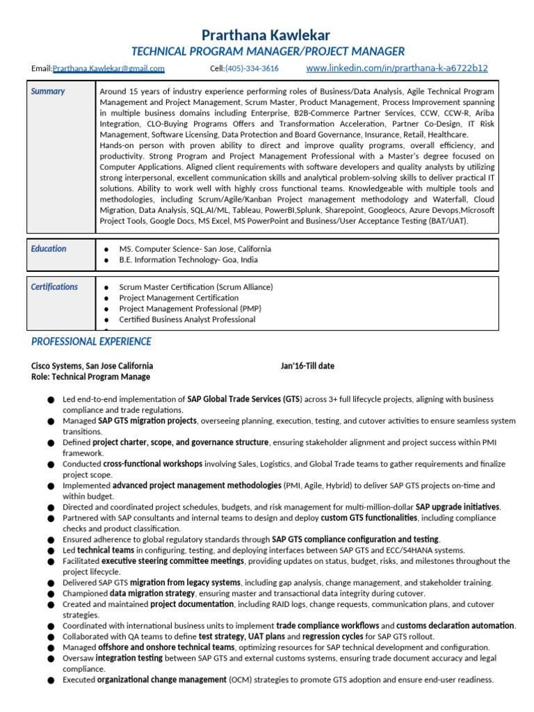 Technical Program Manager Profile | PDF | Project Management | Agile ...