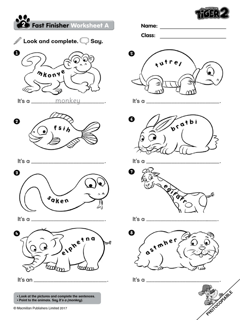 Animal Identification Worksheet | PDF
