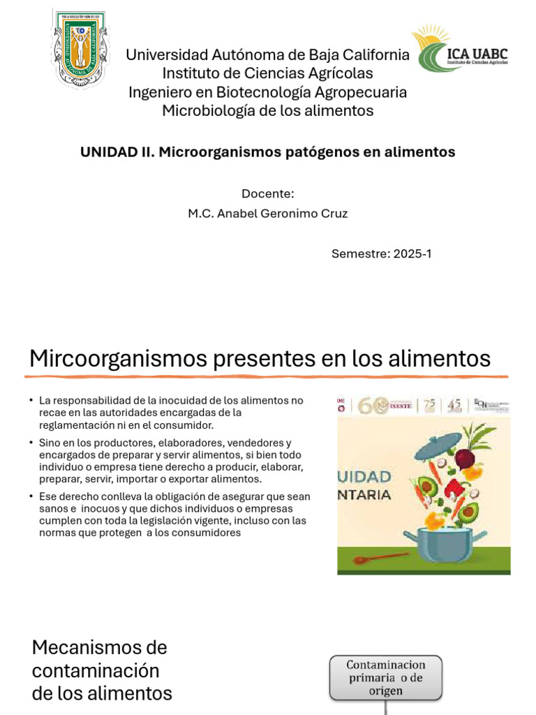 Microorganismos Patógenos en Alimentos | PDF | Alimentos | Carne