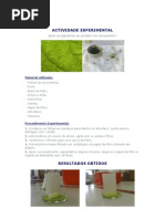 Actividade Experimental
