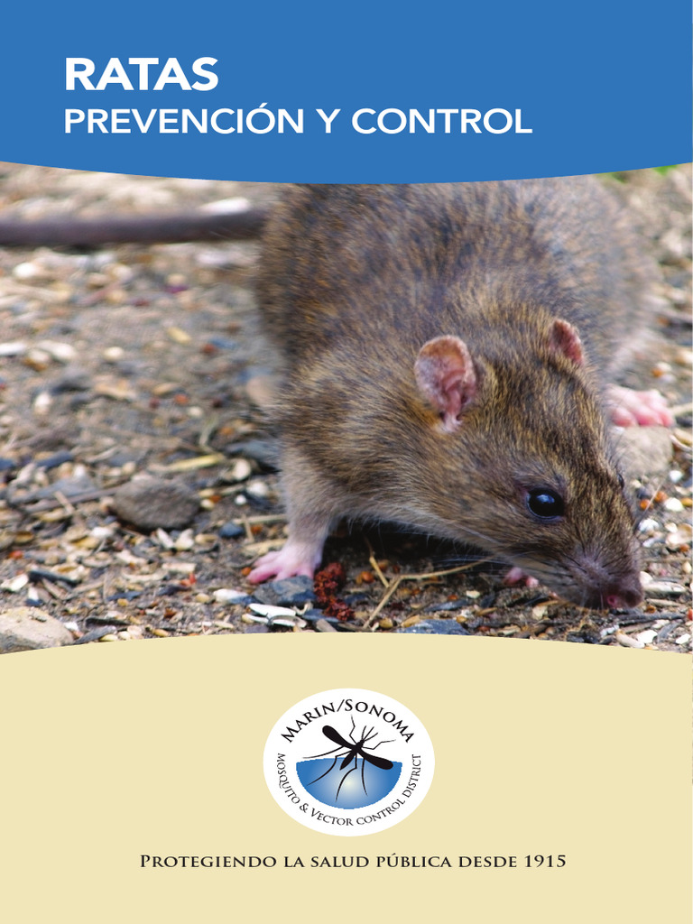 MSM Rats SPANISH | PDF | Roedor | Ventilación (Arquitectura)