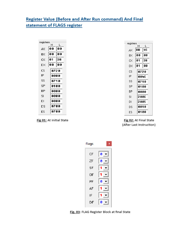 FLAGS Register: Before & After Run Command | PDF