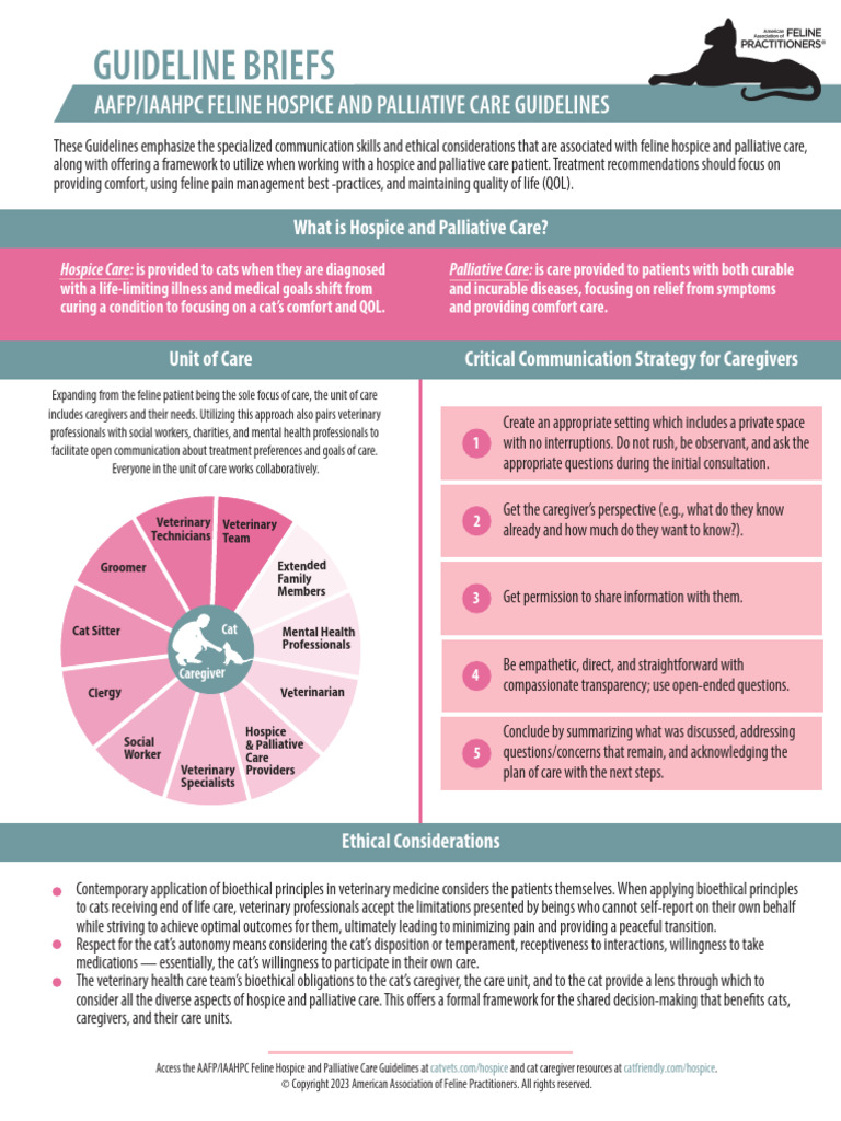 Feline Hospice and Palliative Care Guide | PDF | Palliative Care | End ...