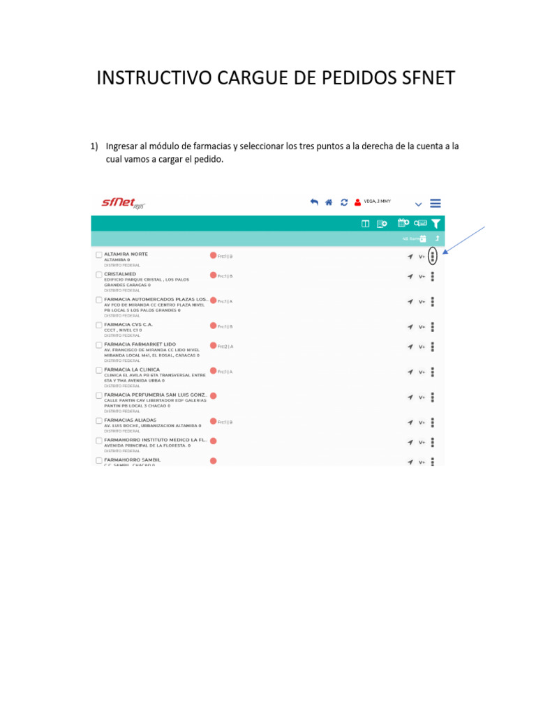 Instructivo Cargue de Pedidos Sfnet | PDF