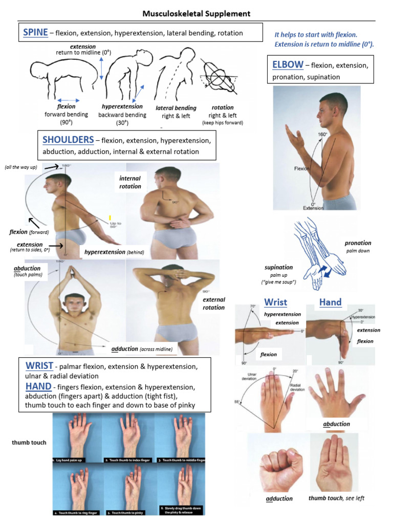 Musculoskeletal Range of Motion Guide | PDF | Anatomical Terms Of ...