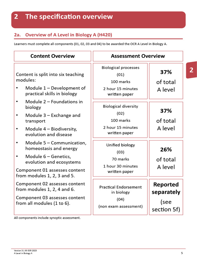 OCR A Level Biology Specification 2025 | PDF | Cell Membrane | Mitosis