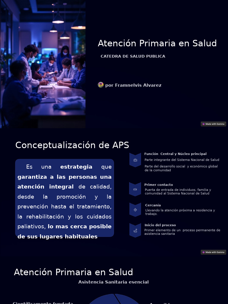 Clase 4.atencion Primaria en Salud | PDF | Cuidado de la salud ...
