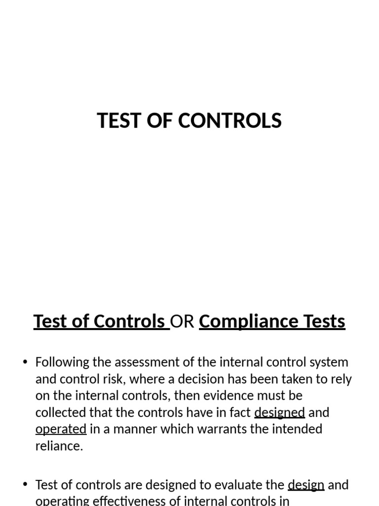 18-Test of Controls | PDF
