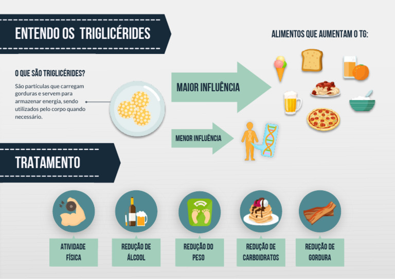 Entenda os Triglicérides e Seus Efeitos | PDF
