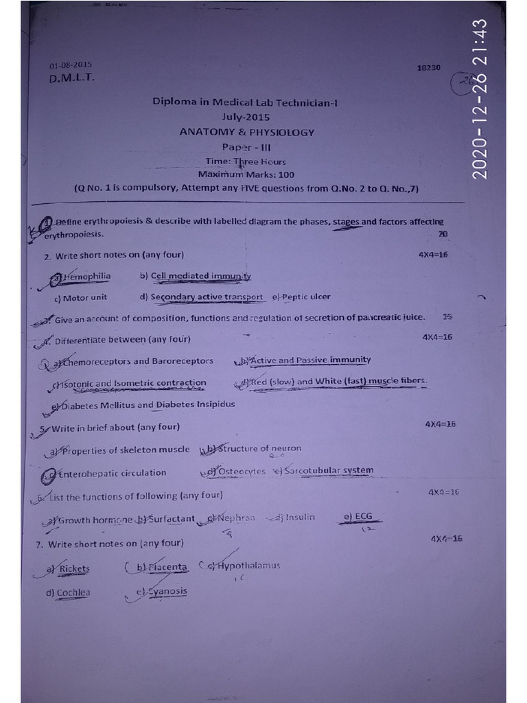 1 Year Old Paper Pdf