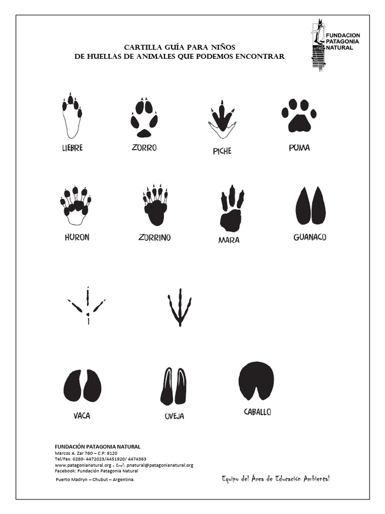 Guía de Huellas de Animales para Niños | PDF