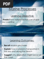 Coastal Fieldwork Techniques for GCSE | PDF | Coast | Beach