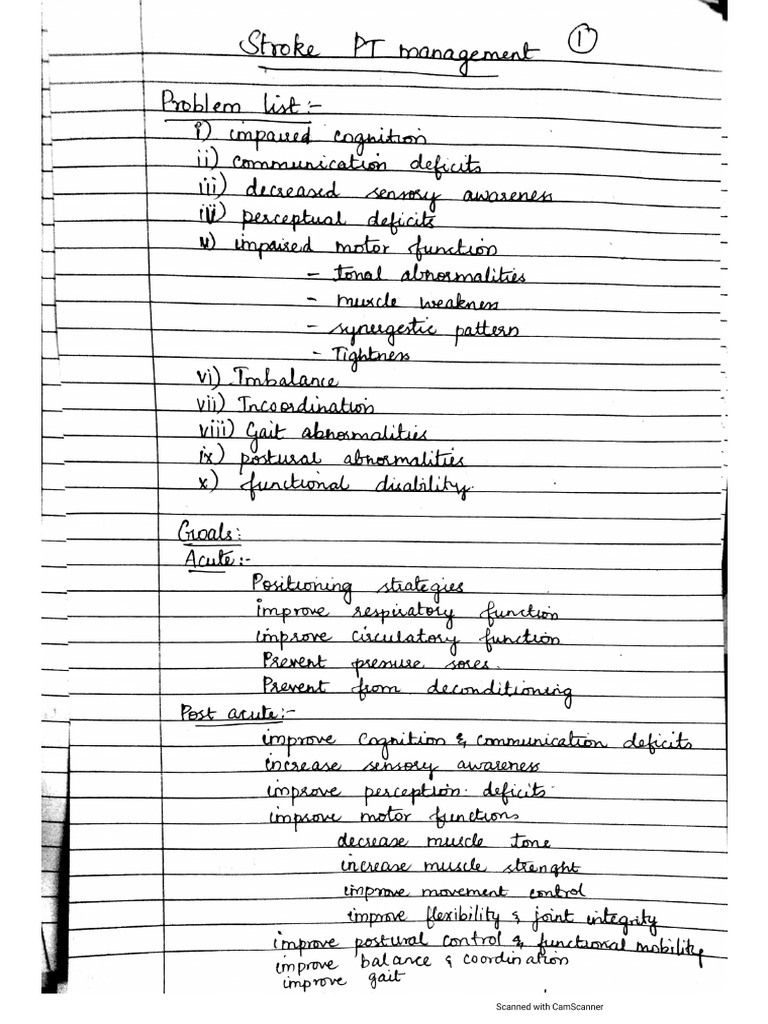 stroke pt management | PDF