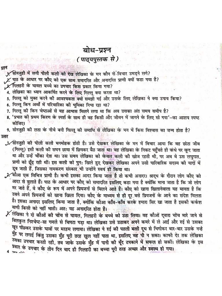 Hindi Question and Anwser | PDF