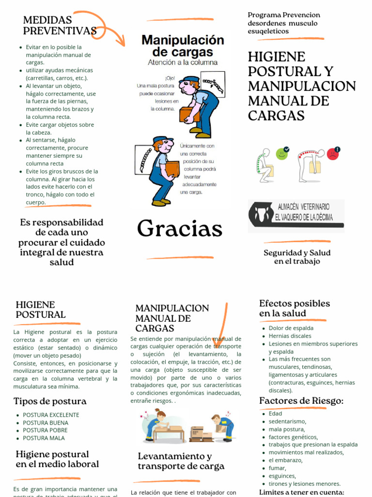 Higiene Postural y Manipulación Segura | PDF | Dolor lumbar