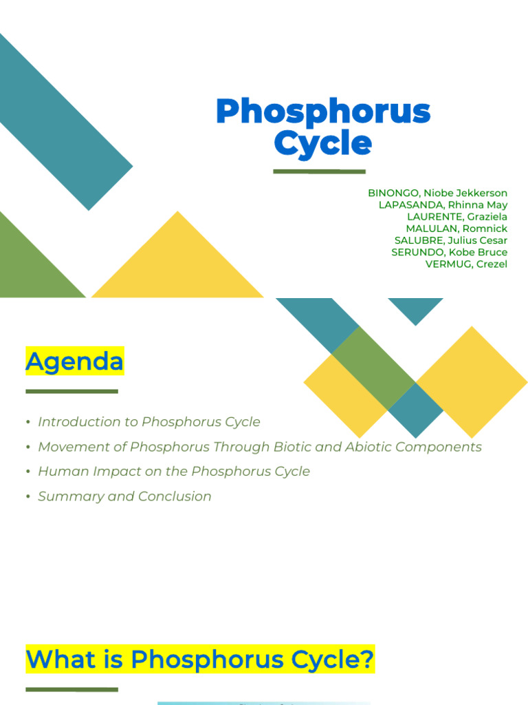 Envi 11 Phosphorus Cycle | PDF | Soil | Phosphorus
