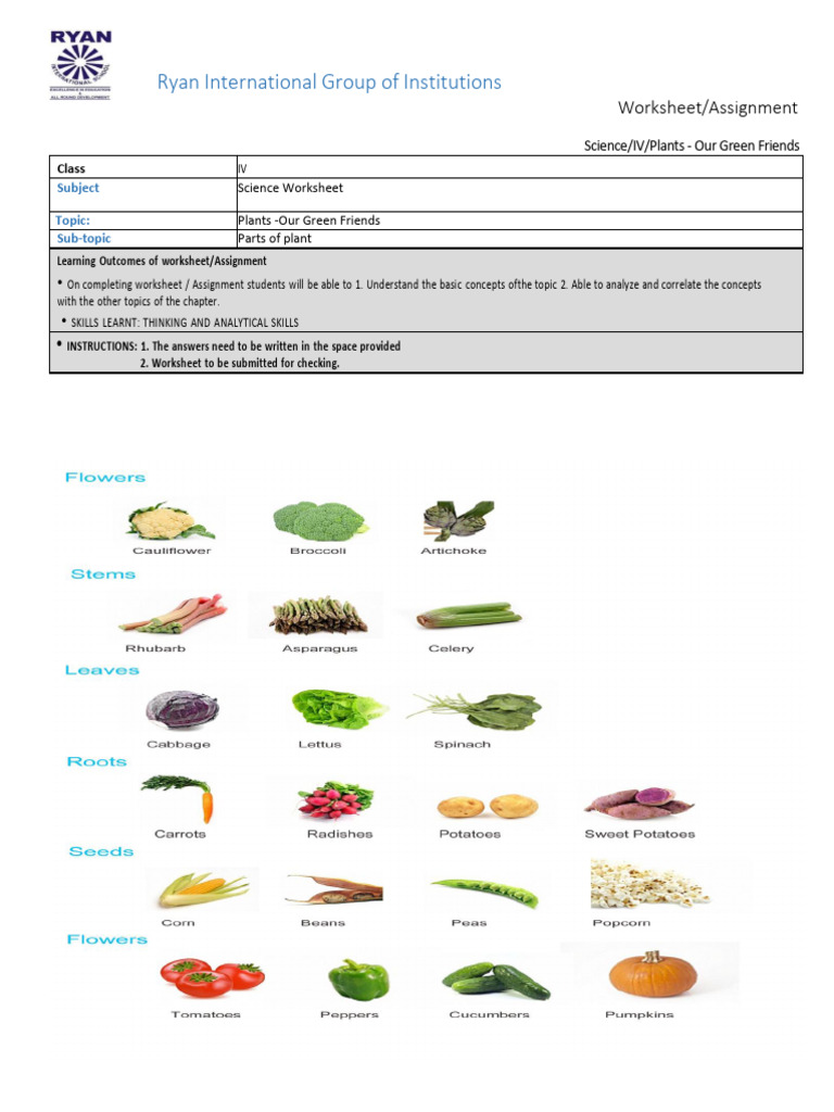 Plants Worksheet for Class IV Science | PDF