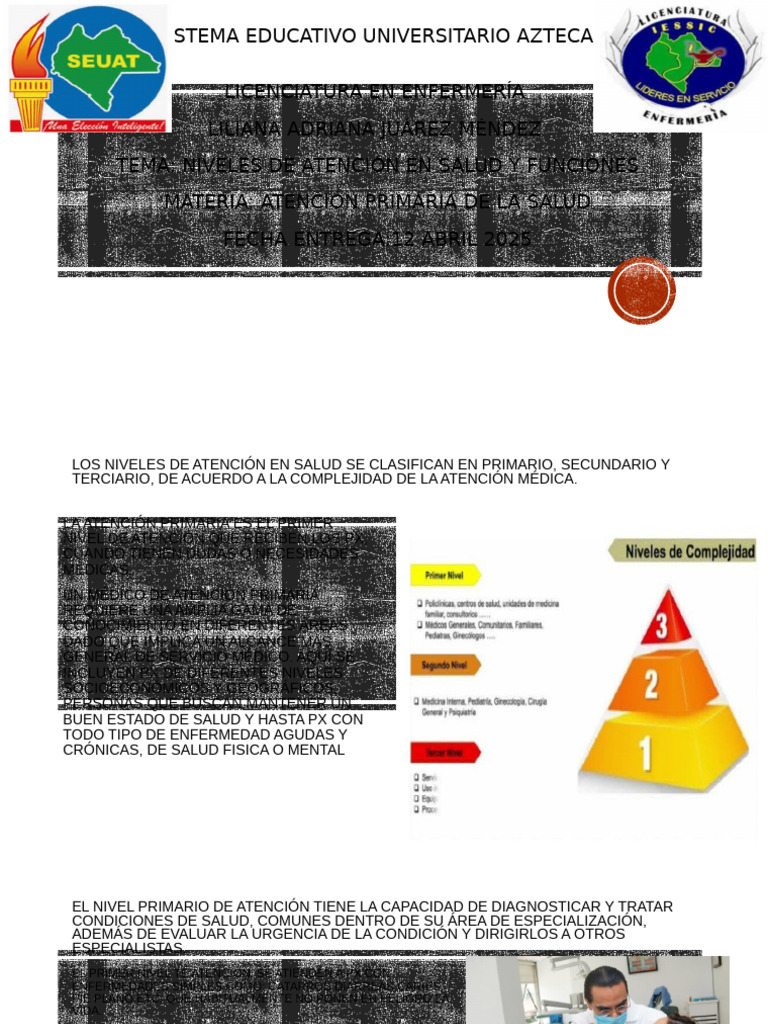 Niveles de Atención en Salud: Guía Completa | PDF | Cuidado de la salud ...