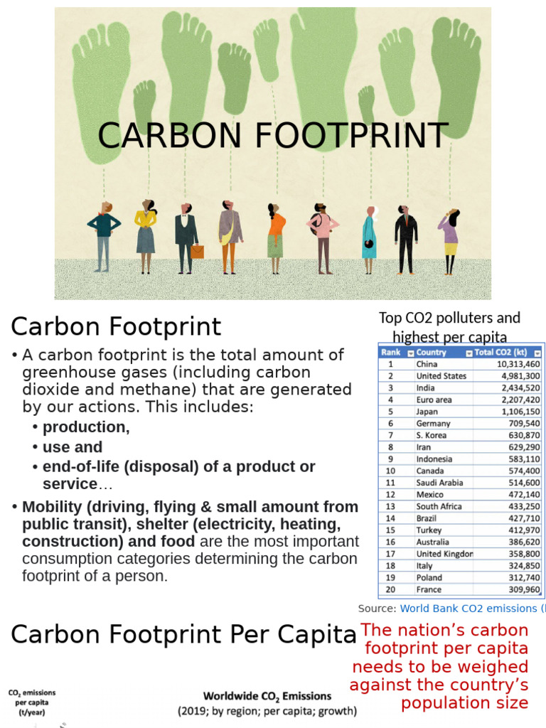 Carbon Footprint | PDF