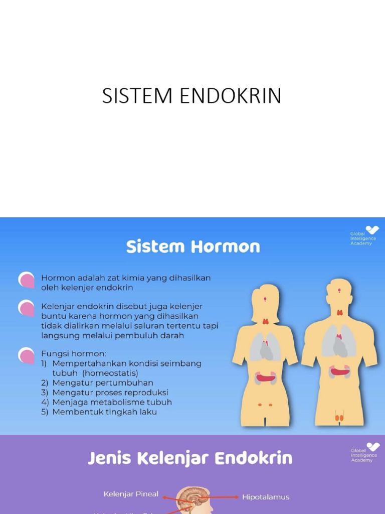 Sistem Endokrin | PDF
