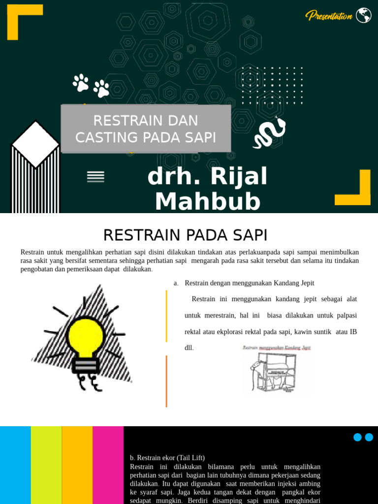 Teknik Restrain dan Casting Sapi | PDF