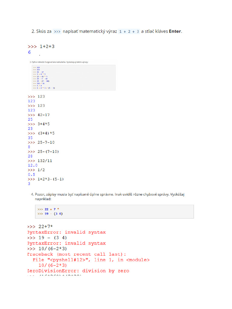 Python 1 | PDF