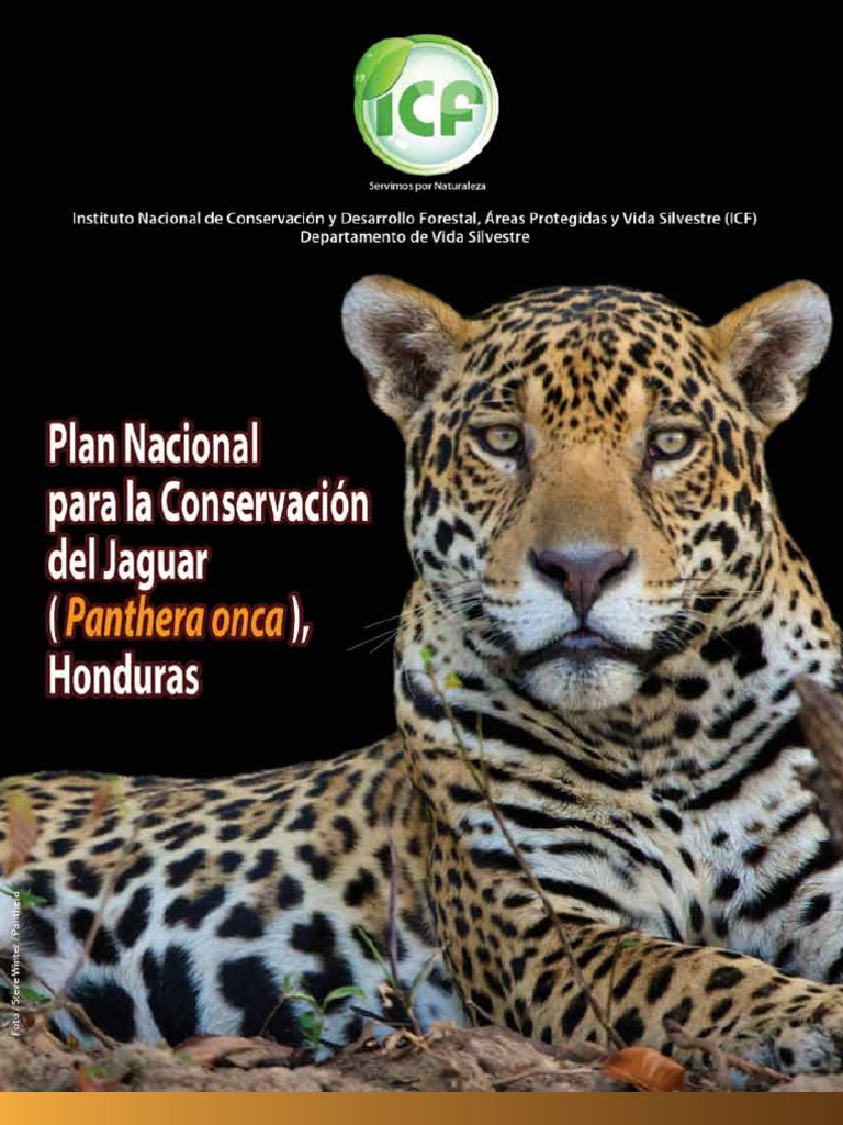 Reflexiones sobre los desafíos y oportunidades para la conservación del  jaguar \u003e WCS Ecuador, image size:768x1024