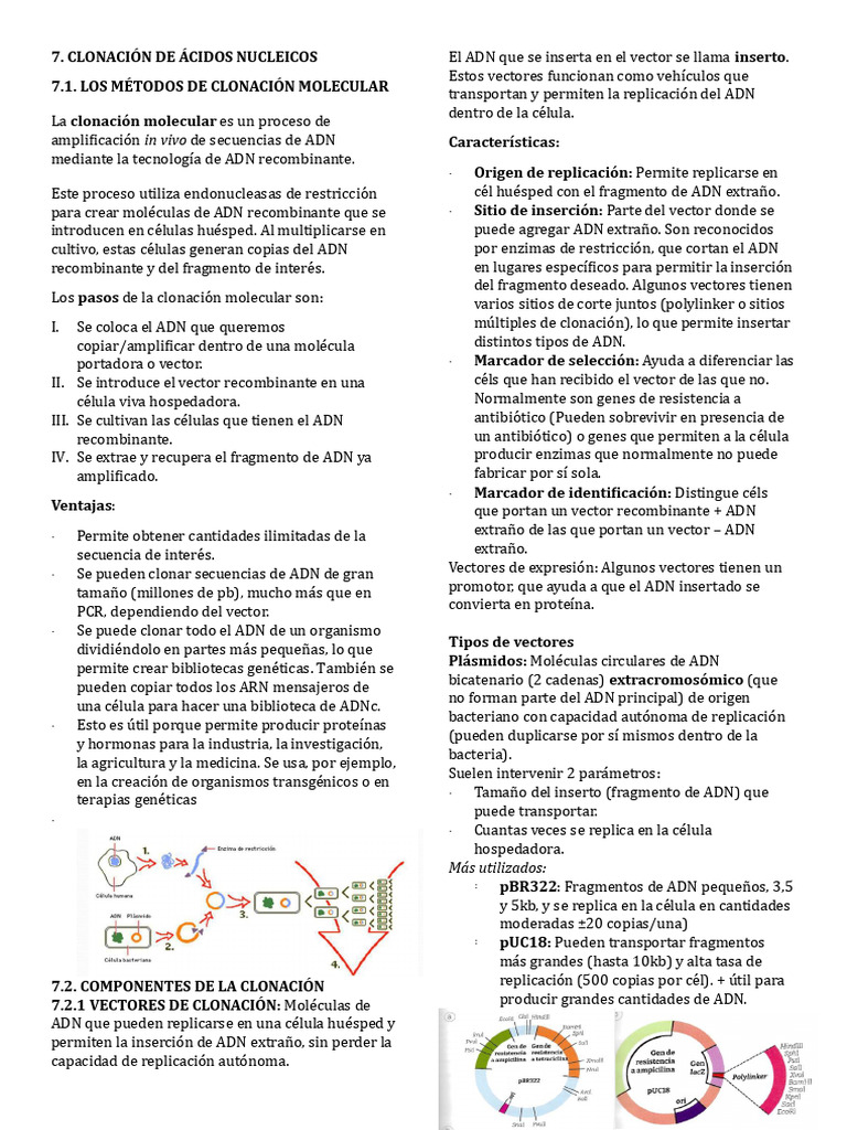 Métodos y Componentes de Clonación Molecular | PDF | Adn | Plásmido