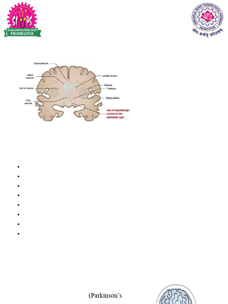 Parkinsonism 200308110413 | PDF | Parkinson's Disease | Diseases And ...