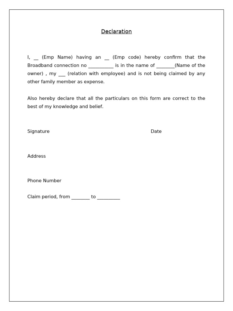 Internet Declaration | PDF