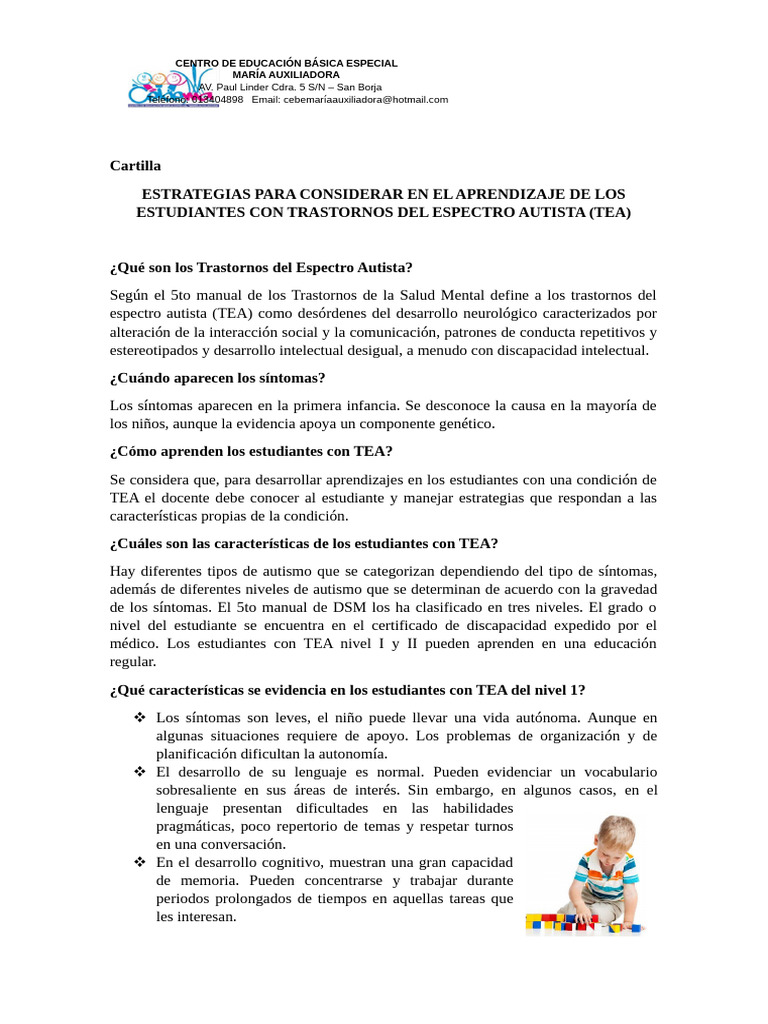 Estrategias para Aprendizaje en TEA | PDF | Autismo | Conceptos ...