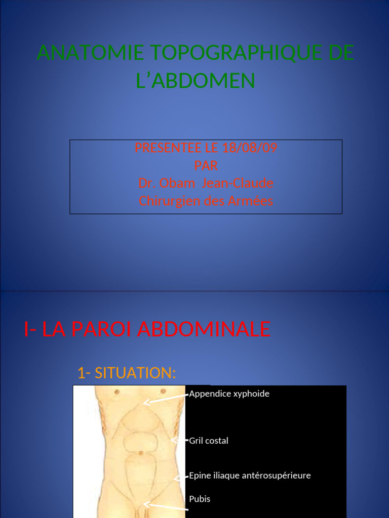 Anatomie topographique de l'abdomen | PDF