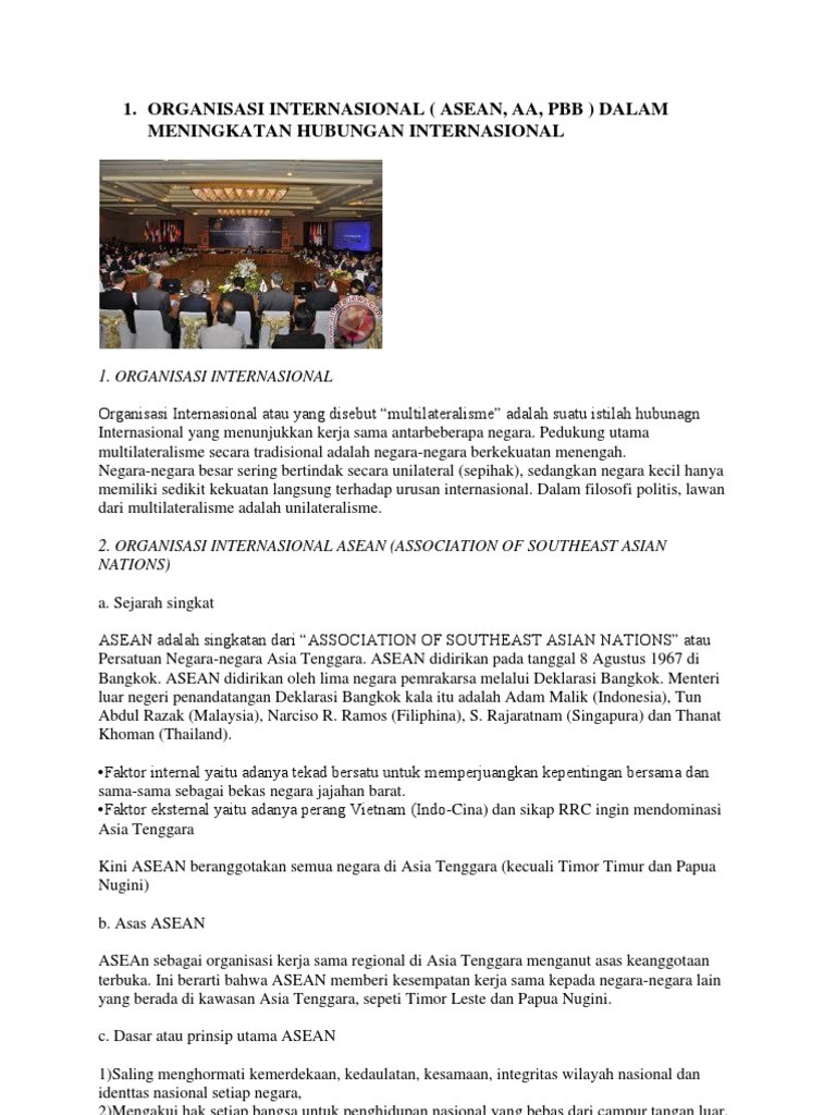 Organisasi Internasional Pdf