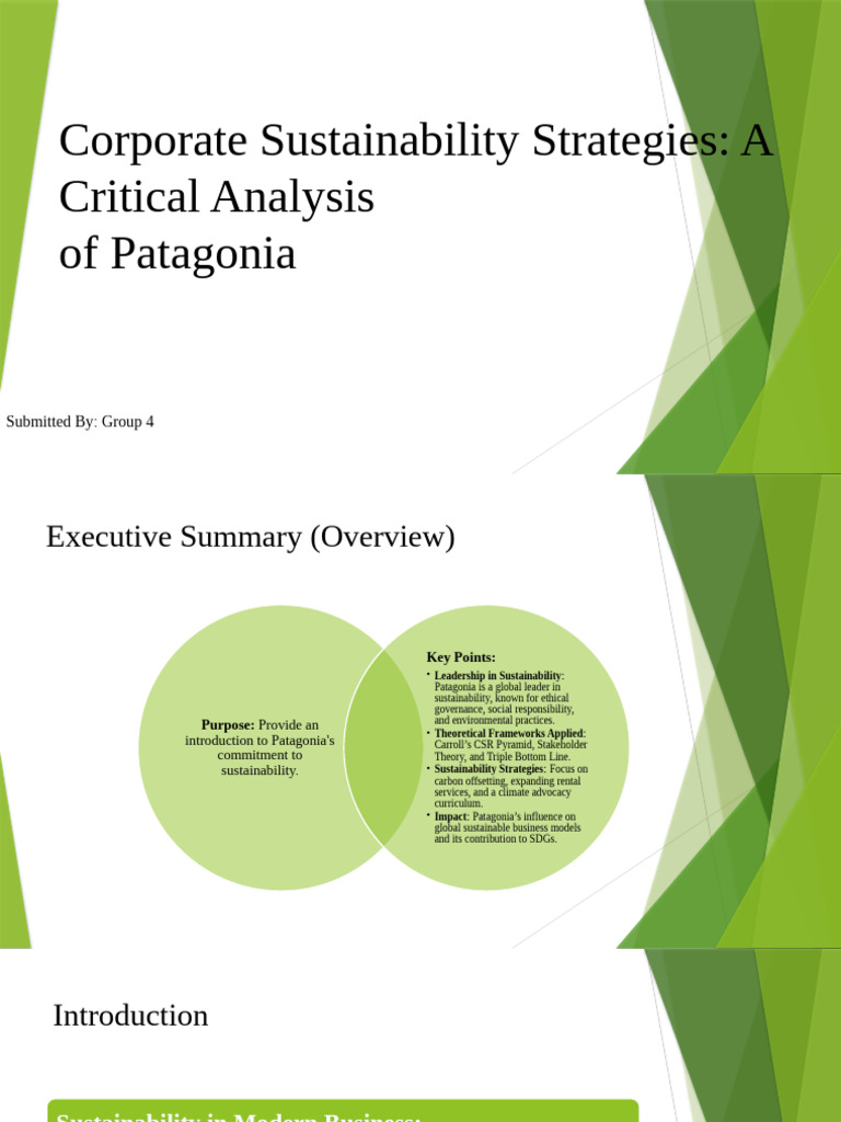 Group 4 Sustainability MSC | PDF | Sustainability | Corporate Social ...