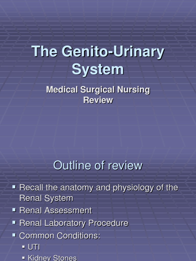 Nursing Genito-Urinary System | PDF | Urinary Tract Infection ...