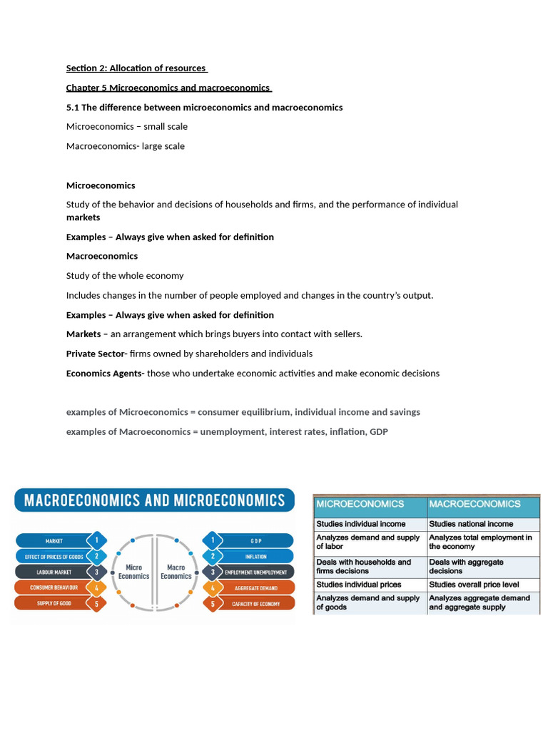 Micro vs Macro Economics Overview | PDF