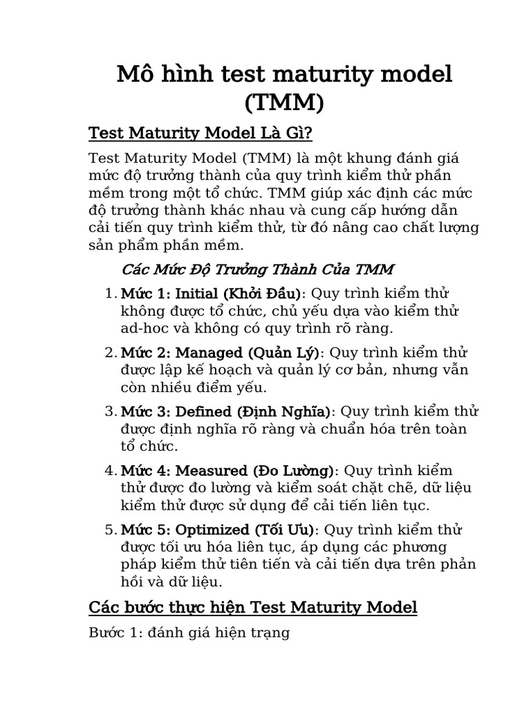 Mô Hình Test Maturity Model | PDF