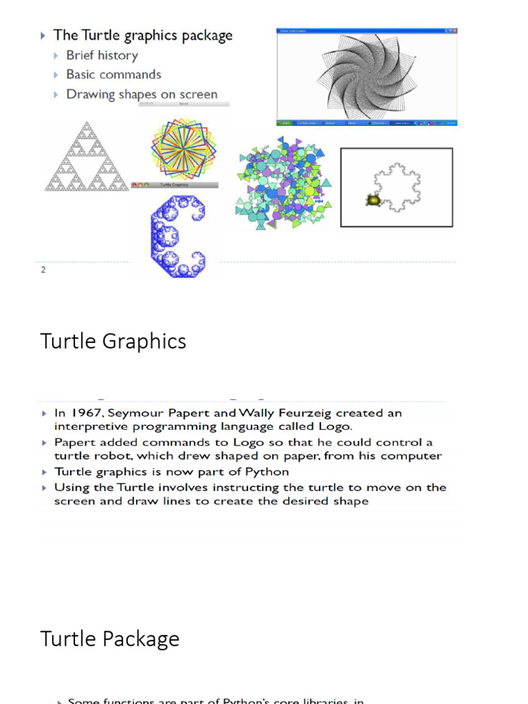 Turtle | PDF
