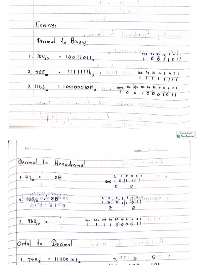 Class Activity | PDF