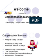 Compensation Structure and Factors