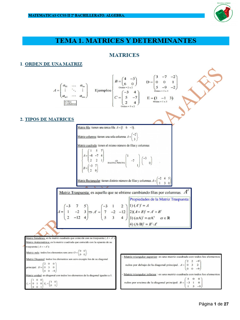 1 Matrices | PDF | Matriz (Matemáticas) | Determinante