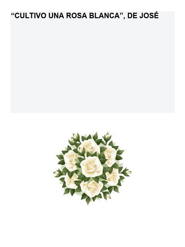 Cultivo Una Rosa Blanca PDF