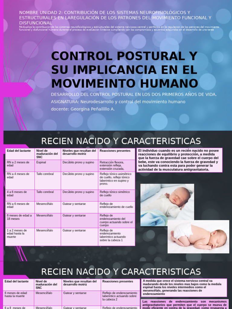Control Postural y Su Implicancia en El Movimeinto | PDF | Neurociencia ...